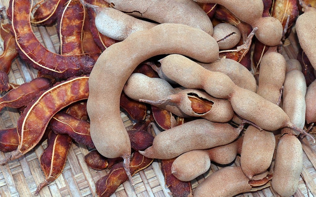 Tamarind Uses, Benefits & Recipes You’ll Love